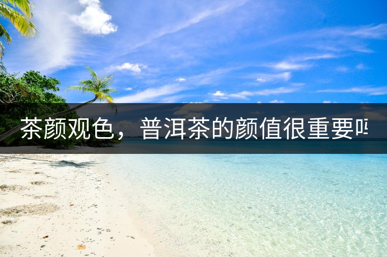 茶顏觀色，普洱茶的顏值很重要嗎？