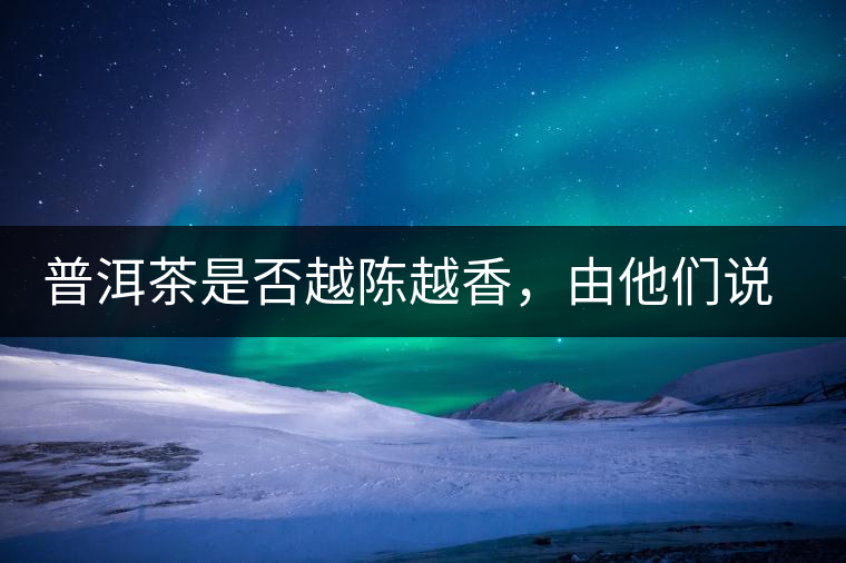 普洱茶是否越陳越香，由他們說了算