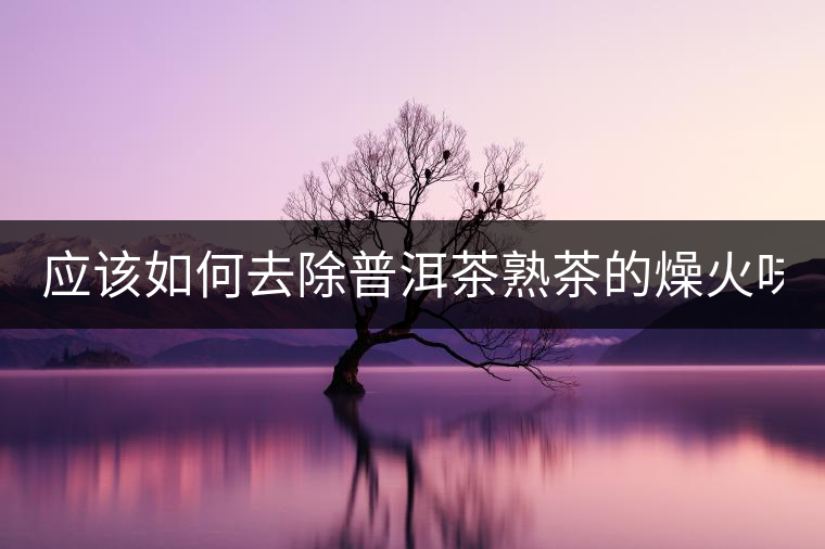 應(yīng)該如何去除普洱茶熟茶的燥火味？