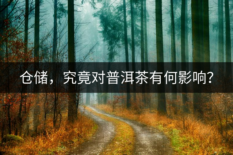 倉(cāng)儲(chǔ)，究竟對(duì)普洱茶有何影響？