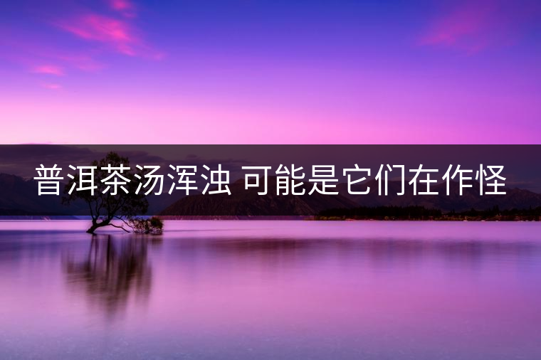 普洱茶湯渾濁 可能是它們在作怪