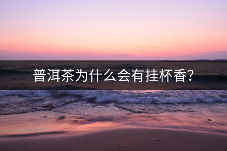 普洱茶為什么會有掛杯香？