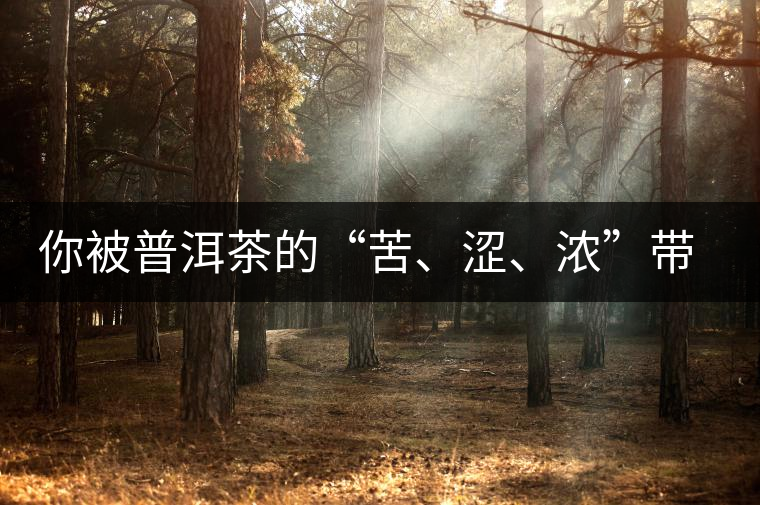 你被普洱茶的“苦、澀、濃”帶入“歧途”了嗎？