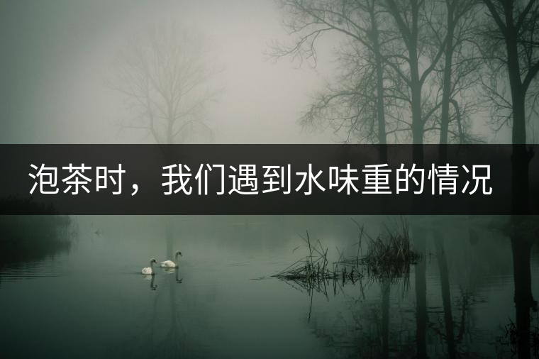 泡茶時(shí)，我們遇到水味重的情況是怎么回事呢?