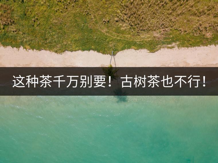 這種茶千萬別要！古樹茶也不行！