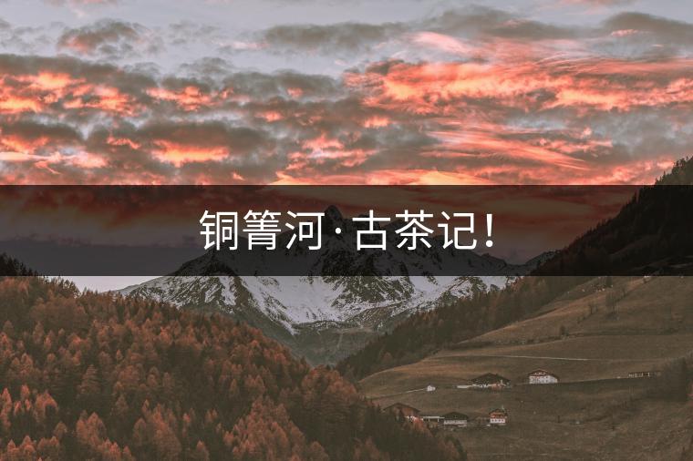 銅箐河·古茶記！