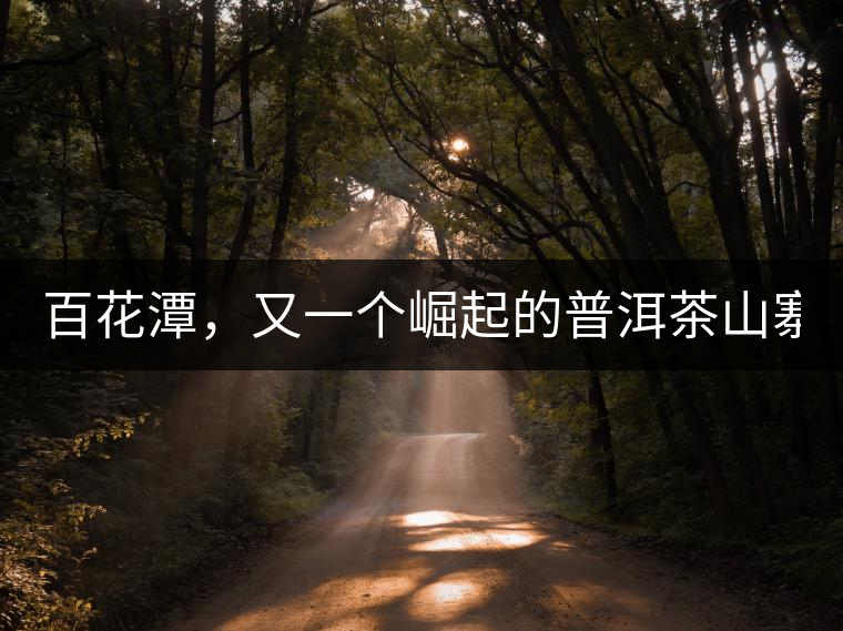 百花潭，又一個崛起的普洱茶山寨！