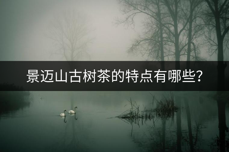 景邁山古樹茶的特點(diǎn)有哪些？