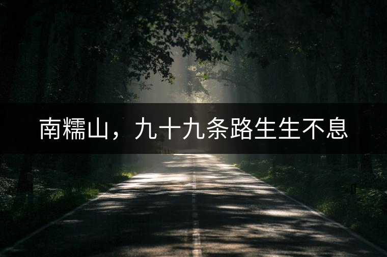 南糯山，九十九條路生生不息