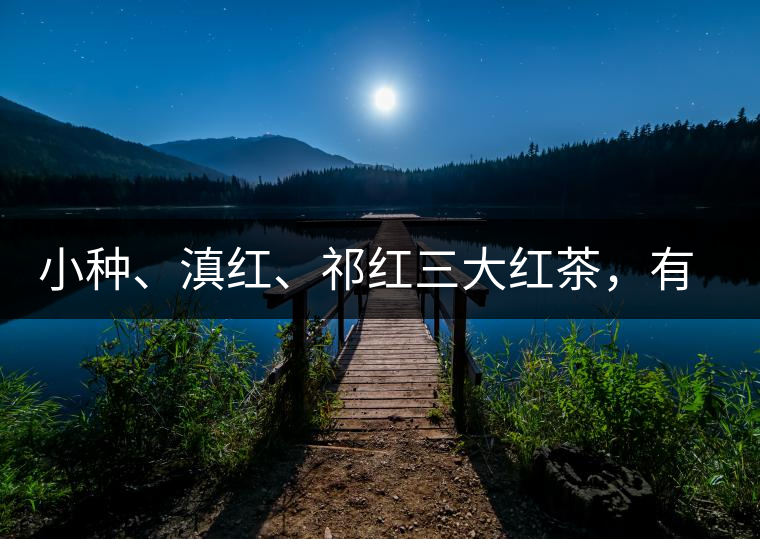 小種、滇紅、祁紅三大紅茶，有何區(qū)別