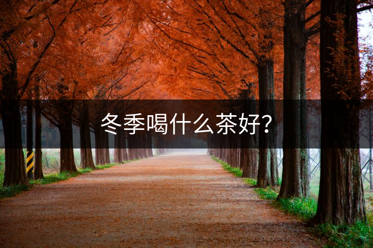 冬季喝什么茶好？
