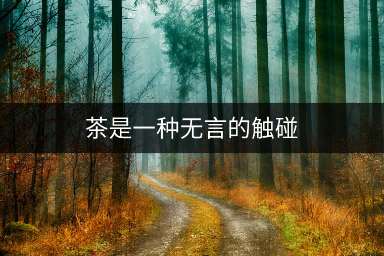 茶是一種無言的觸碰 茶是一種無言的觸碰