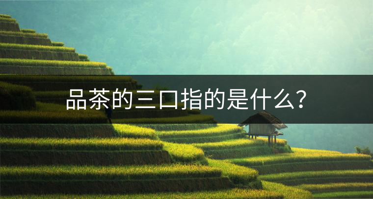 品茶的三口指的是什么？