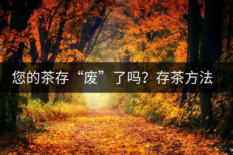 您的茶存“廢”了嗎？存茶方法與技巧，把香留??！
