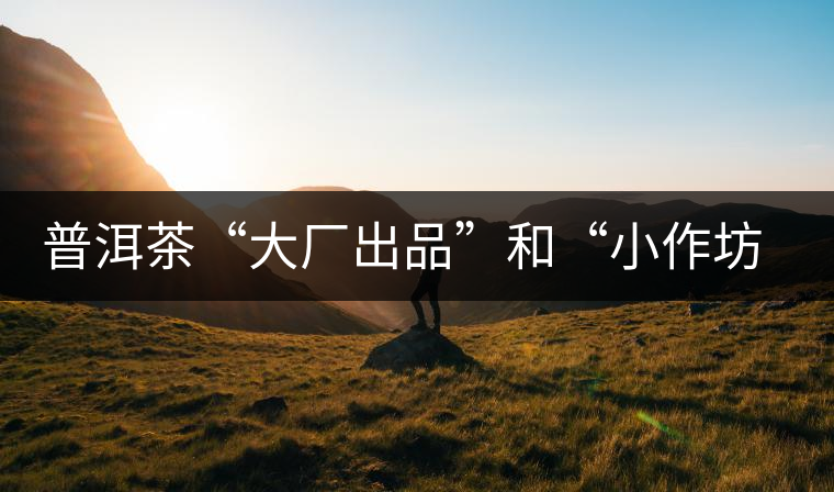 普洱茶“大廠出品”和“小作坊”，哪一個(gè)更值得購買？