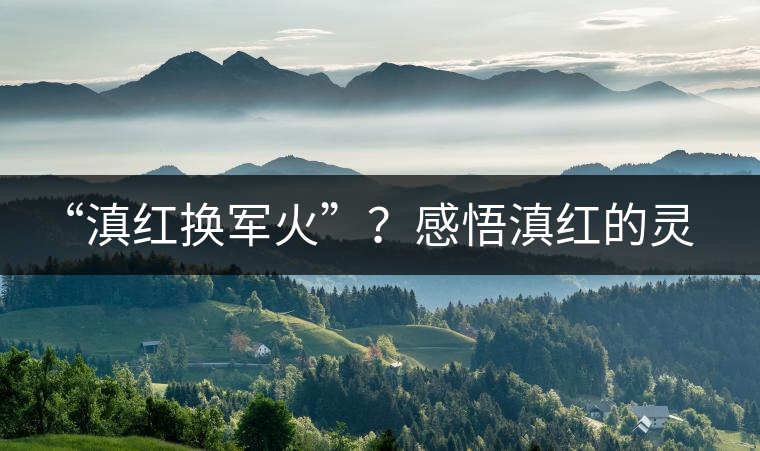 “滇紅換軍火”？感悟滇紅的靈與性！