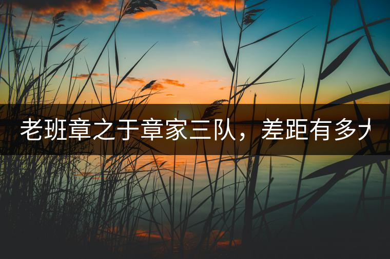 老班章之于章家三隊(duì)，差距有多大？