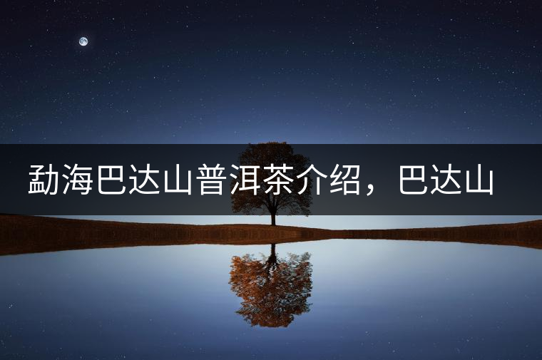 勐海巴達(dá)山普洱茶介紹，巴達(dá)山古樹茶口感特點(diǎn)