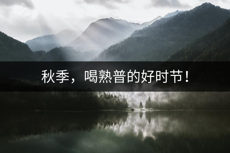 秋季，喝熟普的好時(shí)節(jié)！