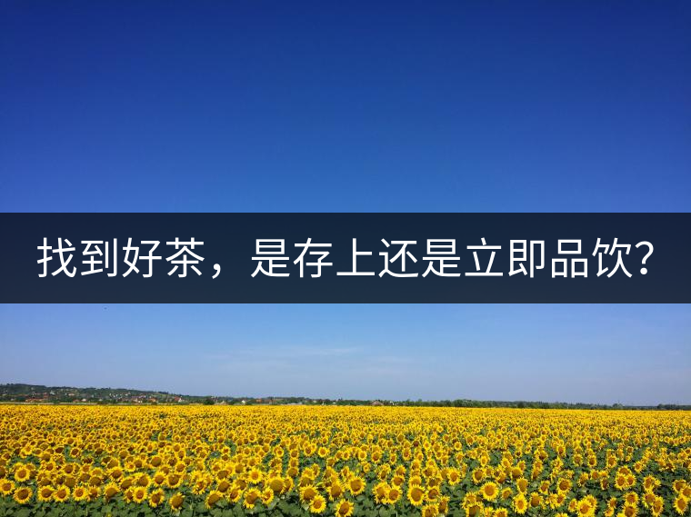 找到好茶，是存上還是立即品飲？