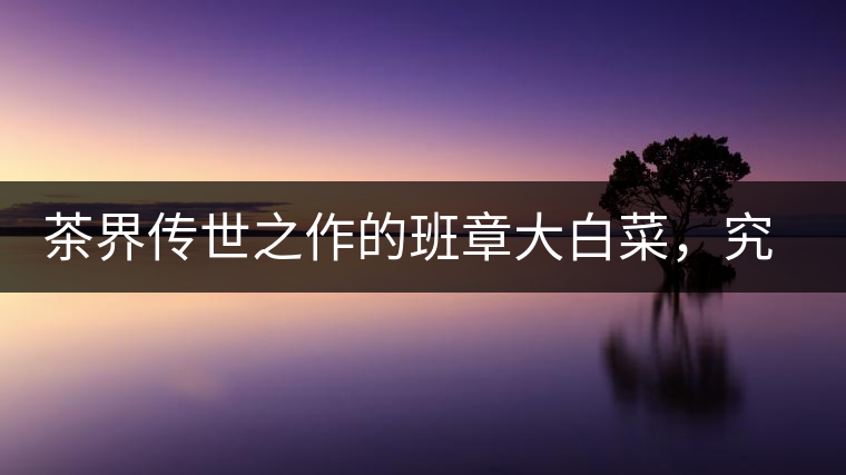茶界傳世之作的班章大白菜，究竟有什么大來頭？