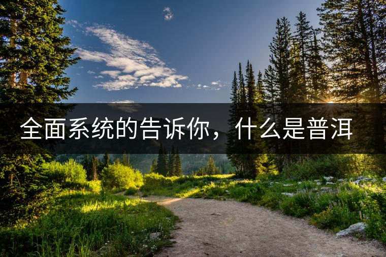 全面系統(tǒng)的告訴你，什么是普洱茶