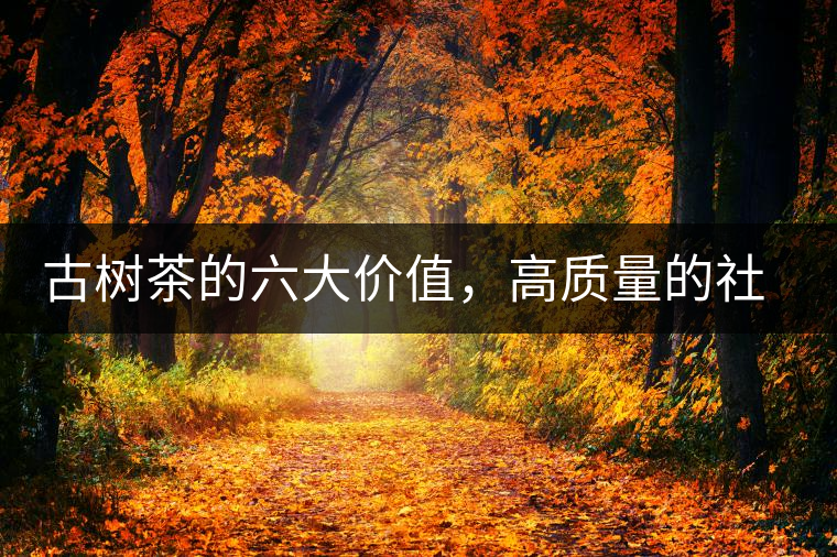 古樹(shù)茶的六大價(jià)值，高質(zhì)量的社交都離不開(kāi)古樹(shù)茶