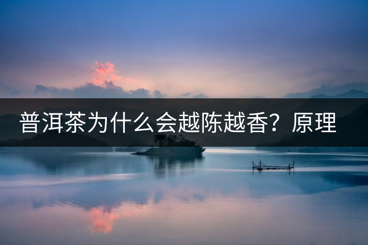 普洱茶為什么會(huì)越陳越香？原理是什么？