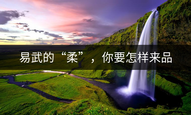 易武的“柔”，你要怎樣來品