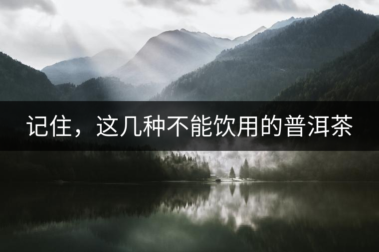 記住，這幾種不能飲用的普洱茶