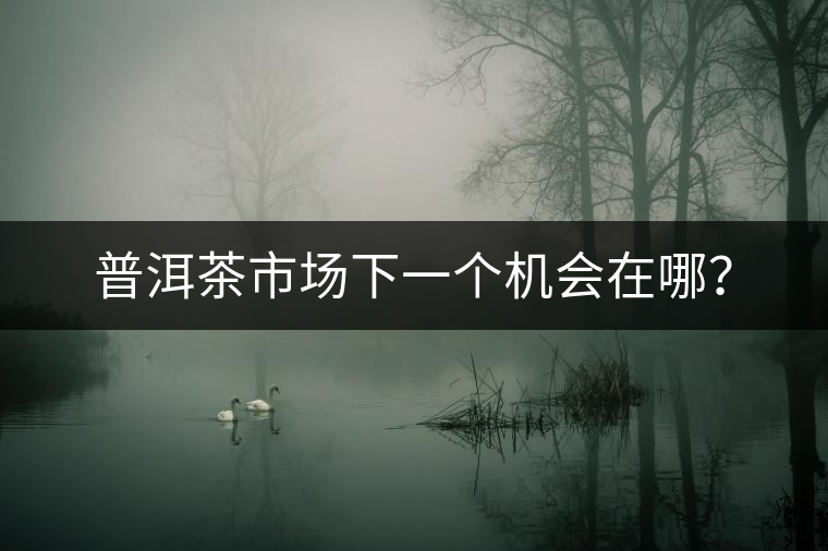 普洱茶市場下一個機(jī)會在哪？