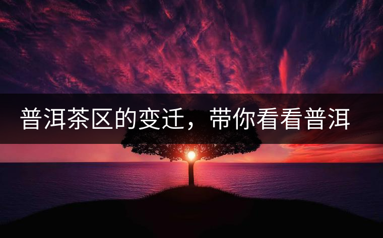 普洱茶區(qū)的變遷，帶你看看普洱茶地域分布