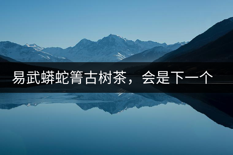 易武蟒蛇箐古樹茶，會是下一個銅箐河嗎？