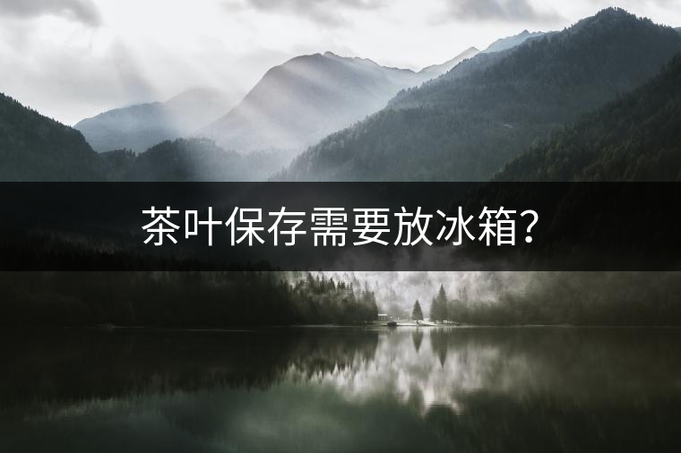 茶葉保存需要放冰箱？