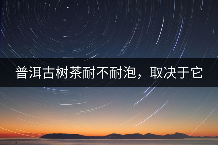 普洱古樹茶耐不耐泡，取決于它