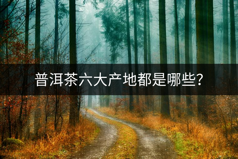 普洱茶六大產(chǎn)地都是哪些？