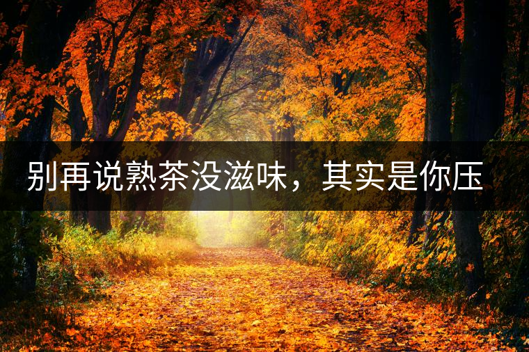 別再說熟茶沒滋味，其實是你壓根沒喝懂