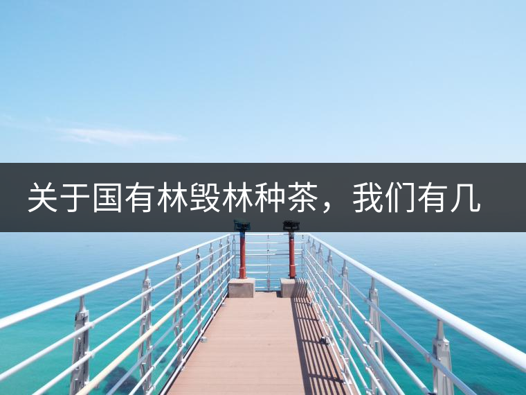 關(guān)于國(guó)有林毀林種茶，我們有幾點(diǎn)不得不說(shuō)