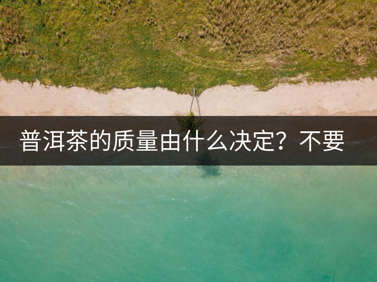 普洱茶的質(zhì)量由什么決定？不要輕信等級