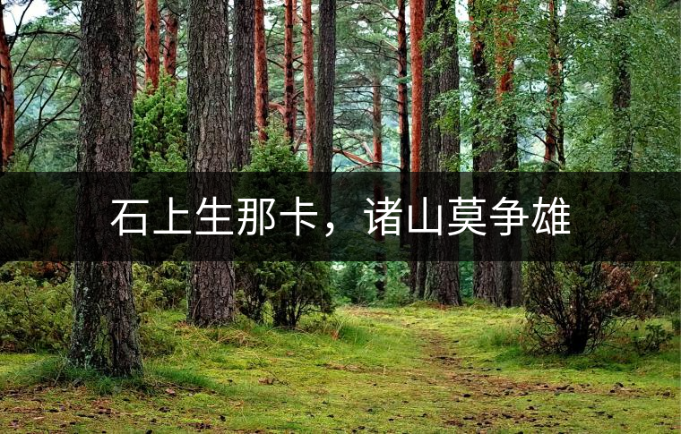 石上生那卡，諸山莫爭(zhēng)雄