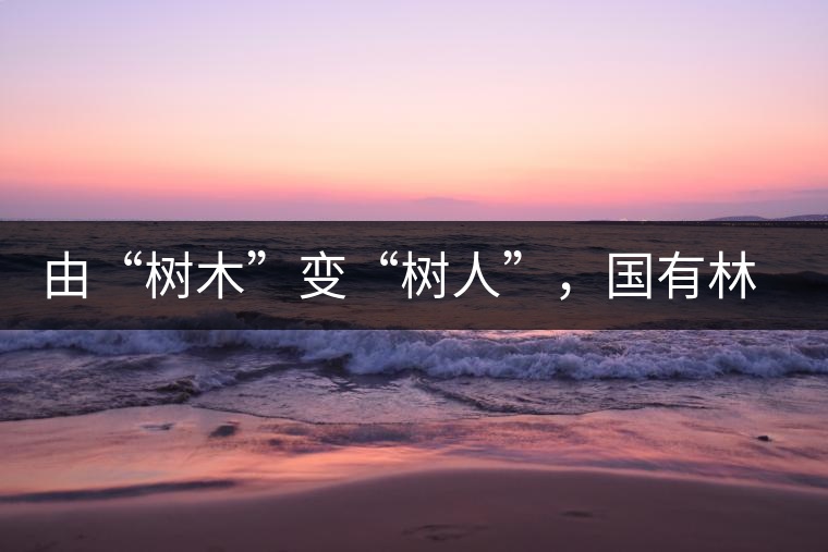 由“樹木”變“樹人”，國有林普洱茶為什么越來越受歡迎？