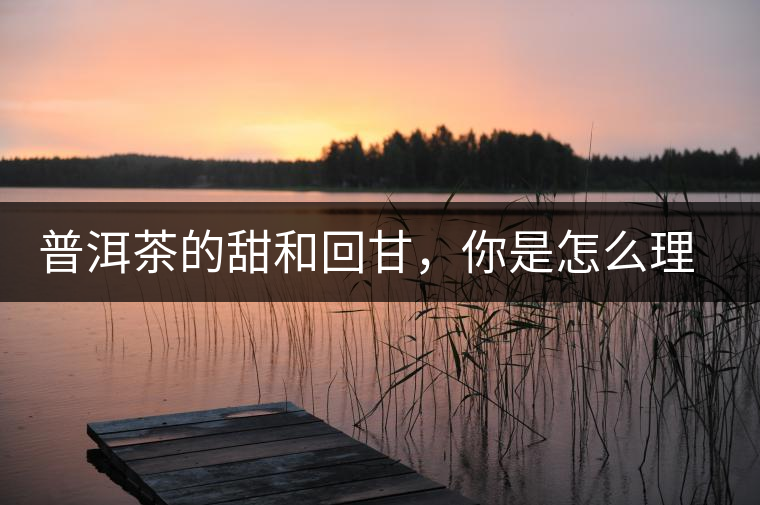 普洱茶的甜和回甘，你是怎么理解的？