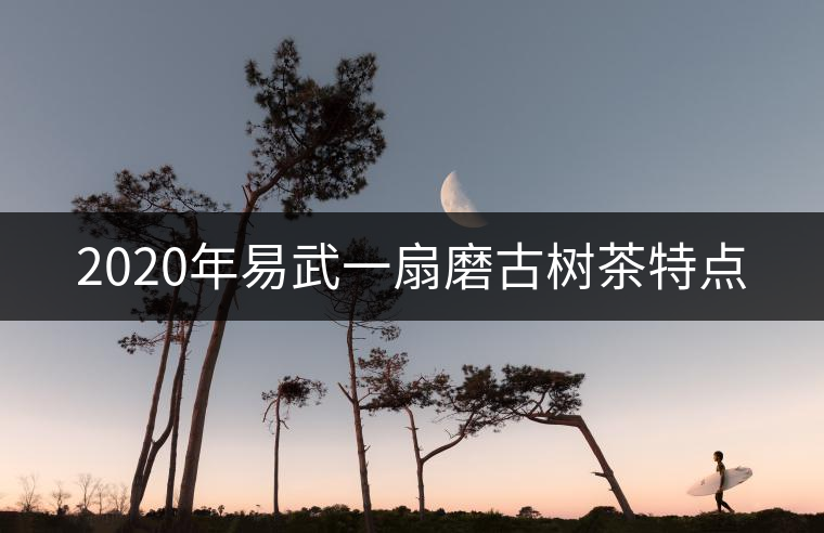2020年易武一扇磨古樹茶特點 2020年易武一扇磨古樹茶特點