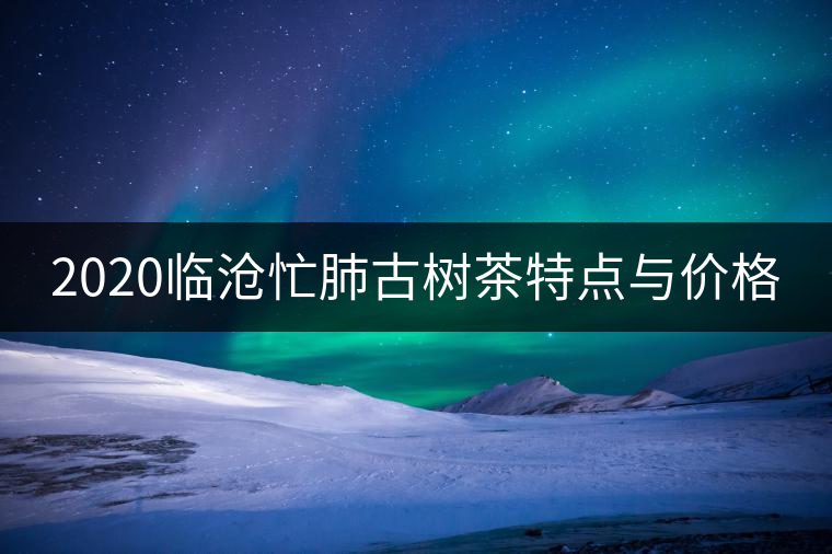 2020臨滄忙肺古樹茶特點與價格 2020臨滄忙肺古樹茶特點與價格