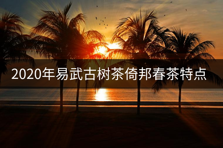 2020年易武古樹茶倚邦春茶特點(diǎn)與價(jià)格 2020年易武古樹茶倚邦春茶特點(diǎn)與價(jià)格