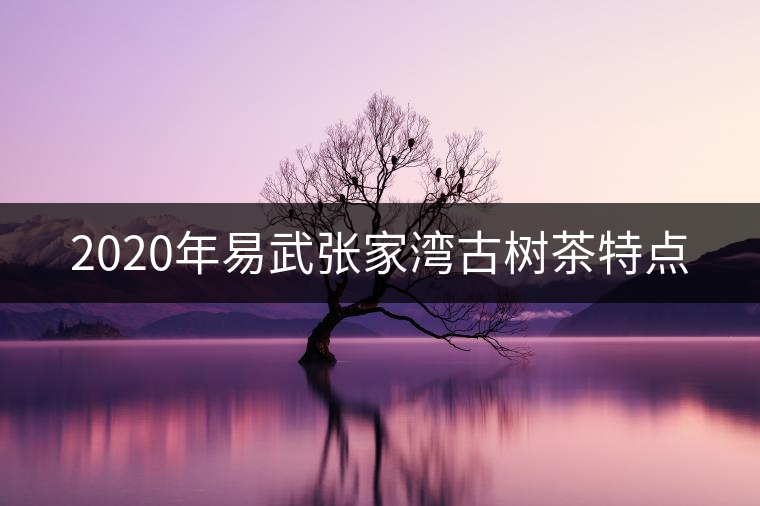 2020年易武張家灣古樹茶特點(diǎn) 2020年易武張家灣古樹茶特點(diǎn)