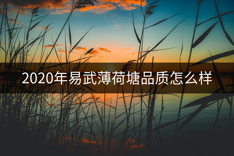 2020年易武薄荷塘品質(zhì)怎么樣