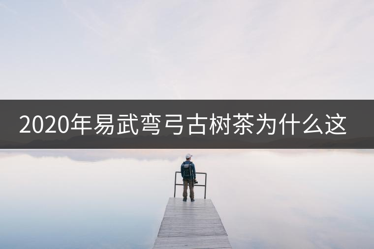 2020年易武彎弓古樹茶為什么這么貴？