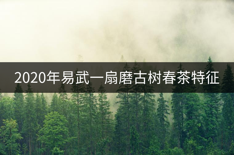 2020年易武一扇磨古樹(shù)春茶特征 2020年易武一扇磨古樹(shù)春茶特征