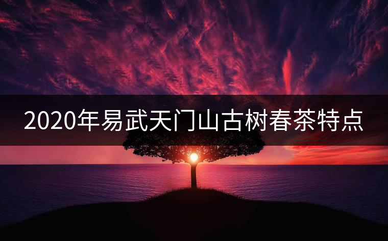 2020年易武天門(mén)山古樹(shù)春茶特點(diǎn) 2020年易武天門(mén)山古樹(shù)春茶特點(diǎn)